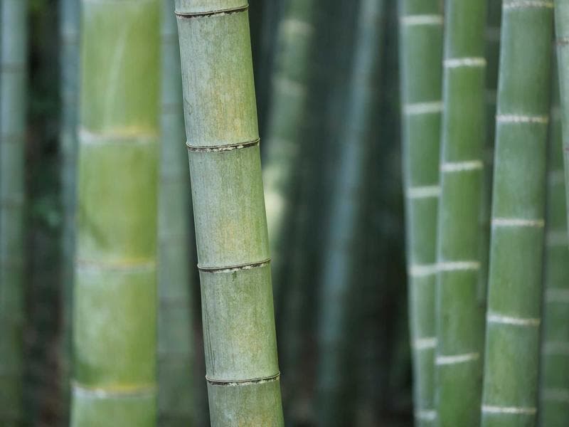 SEO & Digital Marketing