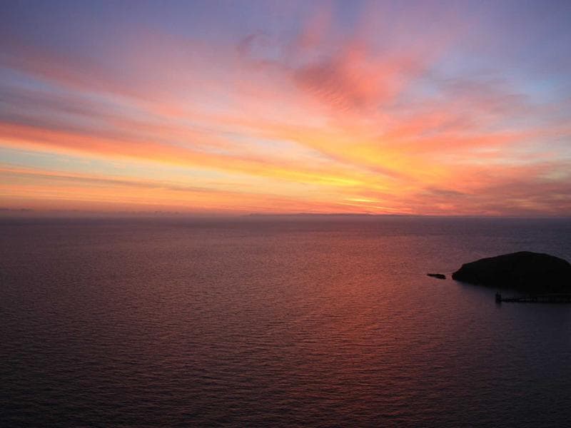 Software Development