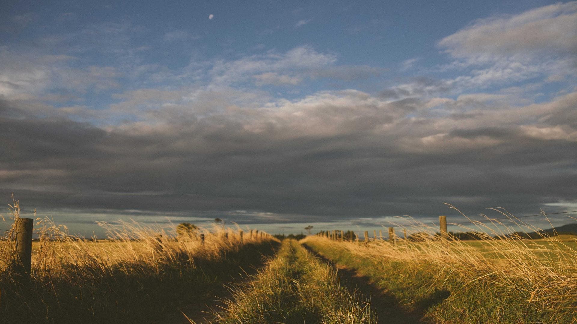 Zen AI Hero Background